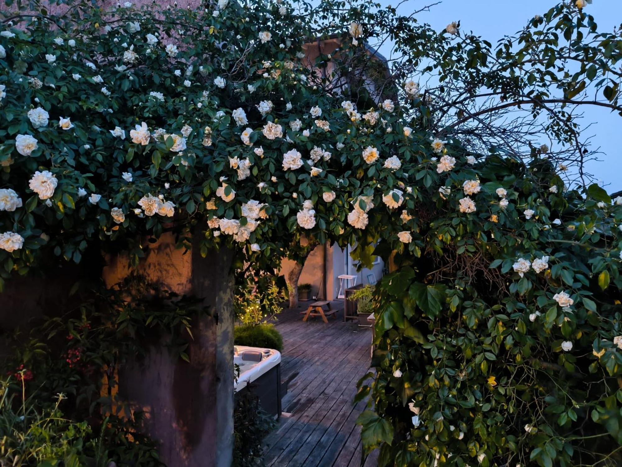 Villa Maria Apartments Moniga del Garda 외부 사진